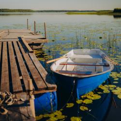 Фото Отель Торополис