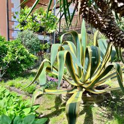 Фото Отель Каролина