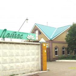 Фото Отель Лотос