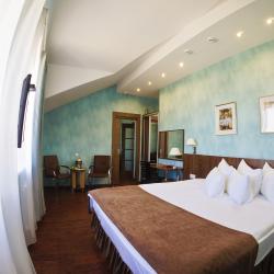 Фото Отель Рябинка