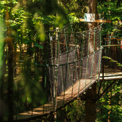 Фото ЭКО отель Русские сезоны