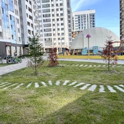 2-комнатные апартаменты стандарт