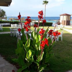 Фото Апартаменты на Урожайной 31/3