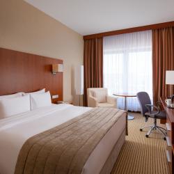 Номер стандарт с 1 двуспальной кроватью king-size