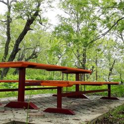 Фото Отель Солнечная