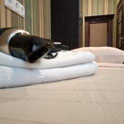 4-местный 2-комнатный номер стандарт