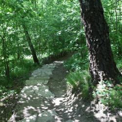 Фото Отель Три Медведя