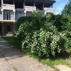 Фото Отель Ваша Гавань