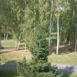 Фото Парк-отель Озёрки
