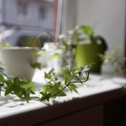 Фото Отель Юнинн Внуково