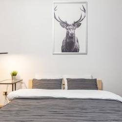 Апартаменты студия RoomyRoom City lights с видом на город