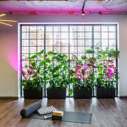 Фото Отель Kazan Palace by Tasigo ( Палас Тасиго)