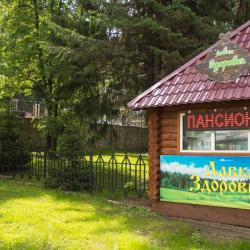 Фото Отель Старые друзья