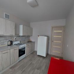 Фото Апартаменты на проспекте Зырина 3