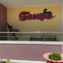 Фото Отель Багира