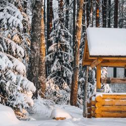 Апартаменты 2