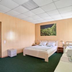 4-местная комната стандарт