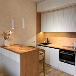 1-комнатные апартаменты студия