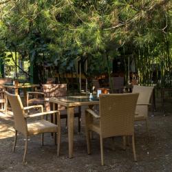 Фото Отель Апсара (Apsara)