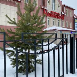 Фото Отель Киевская