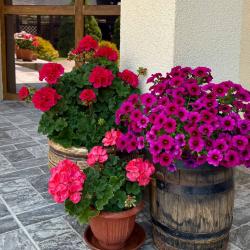 Фото Отель Вертикаль