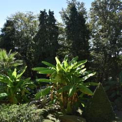 Романов — 944ccc79f23b1f00345376794950e6db