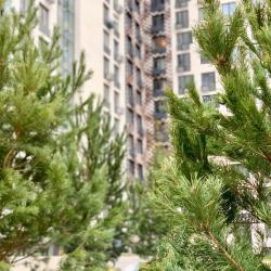 Фото Апартаменты в квартале Центральный