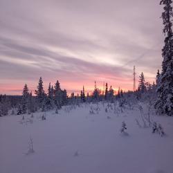 Фото Отель Husky Camp (Хаски Кэмп)