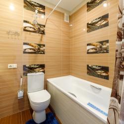 1-комнатные апартаменты стандарт