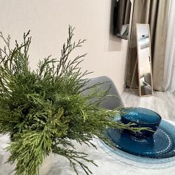 1-комнатные апартаменты улучшенные