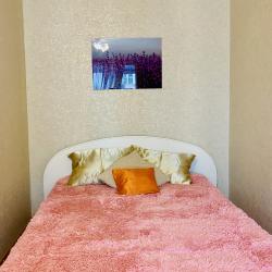 Фото Апартаменты на проспекте Ленина 17