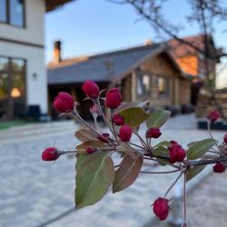 Фото Отель Сталевар