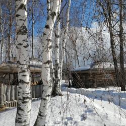 Фото Отель Гостевой дом Окулова Заимка