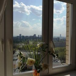 Фото Апартаменты на улице Вилонова 8