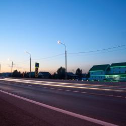 Фото Отель Гостевой дом Зеленый