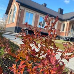 Фото Отель Клинвуд