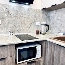 4-местные 2-комнатные апартаменты улучшенные в Центре Тюмени рядом с природой