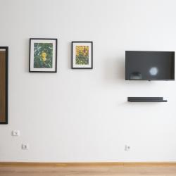 Фото Апартаменты на Садовой 81