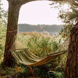 Фото Отель Вили Улей Волга