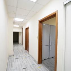 фото 6 Все медведи