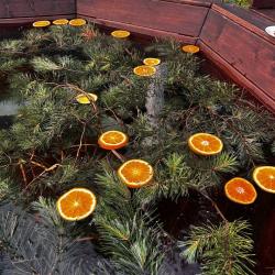 Фото Отель Terraski park (Терраски парк)