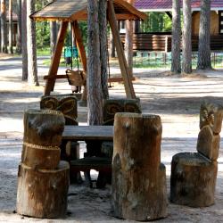 Фото Отель Ветлуга