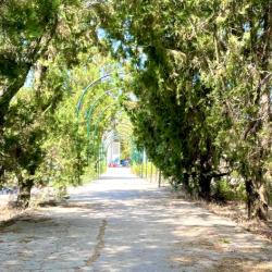 Фото Парк-отель Оленевка