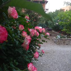 Фото Отель Соната