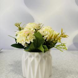 Фото Уютные апартаменты на берегу Волги