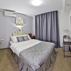 1-местный номер стандарт с 1 двуспальной кроватью