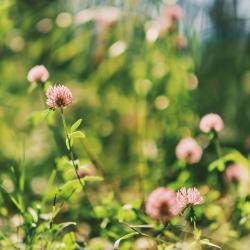 Фото Берель Парк-Отель