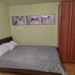 Фото Апартаменты на улице Галкина 24
