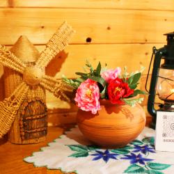 Фото Отель Агроусадьба Ольхово