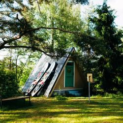 Фото Отель Лесной Курорт Ефимов Бор